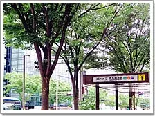 ハーベスト京都店