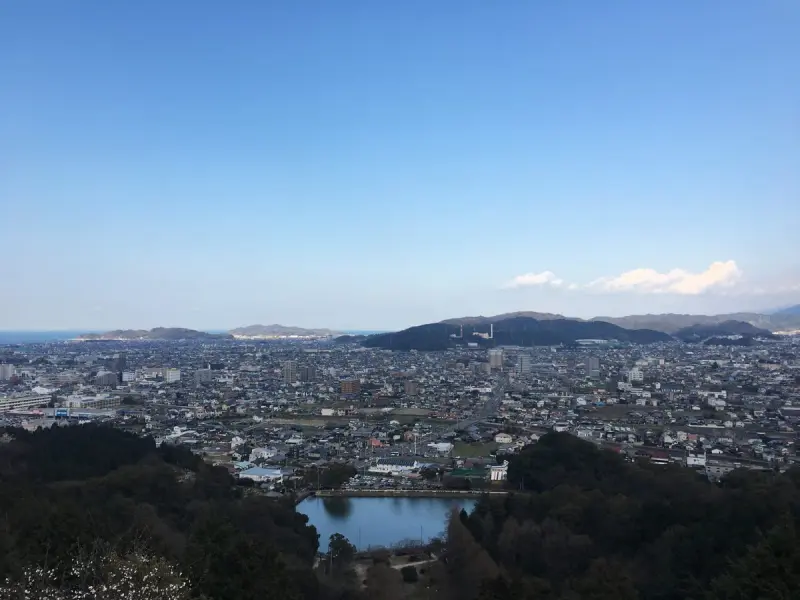 新居浜びず