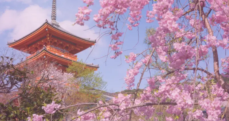 京都朱雀スタジオ
